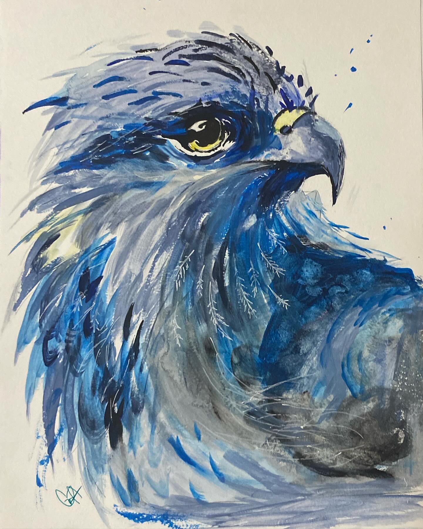 The Goshawk