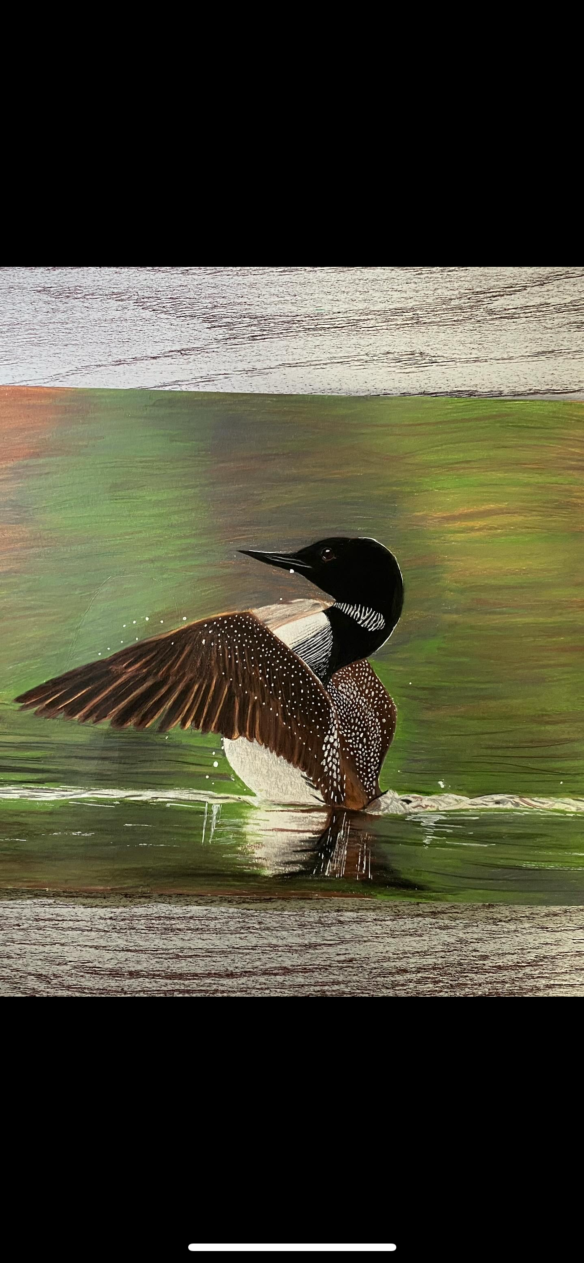 Loon By The LakeView